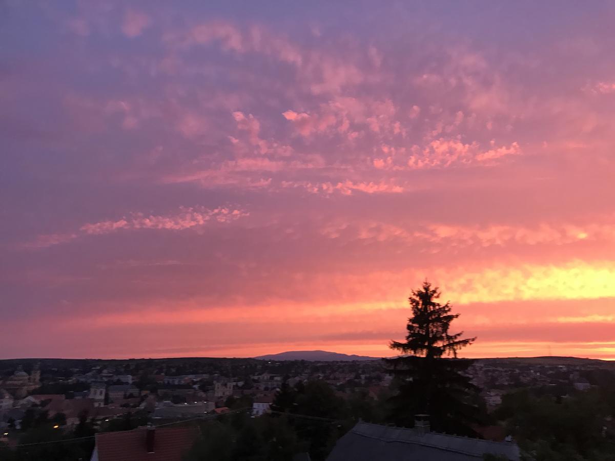 Janicsar Garden Apartman Eger Eksteriør bilde