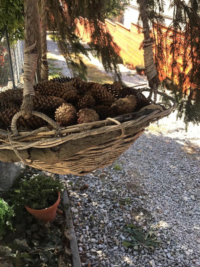 Janicsar Garden Apartman Eger Eksteriør bilde