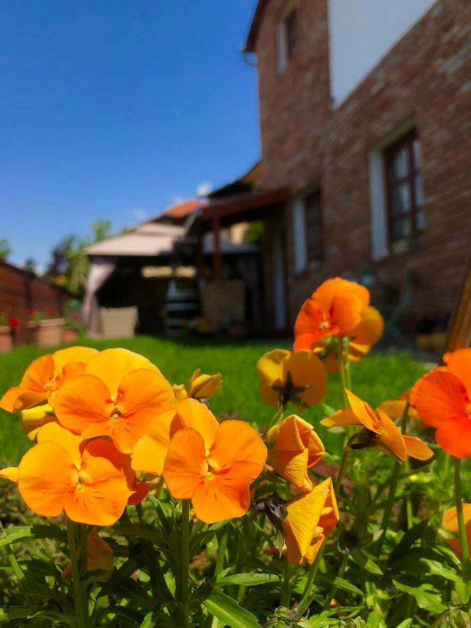 Janicsar Garden Apartman Eger Eksteriør bilde