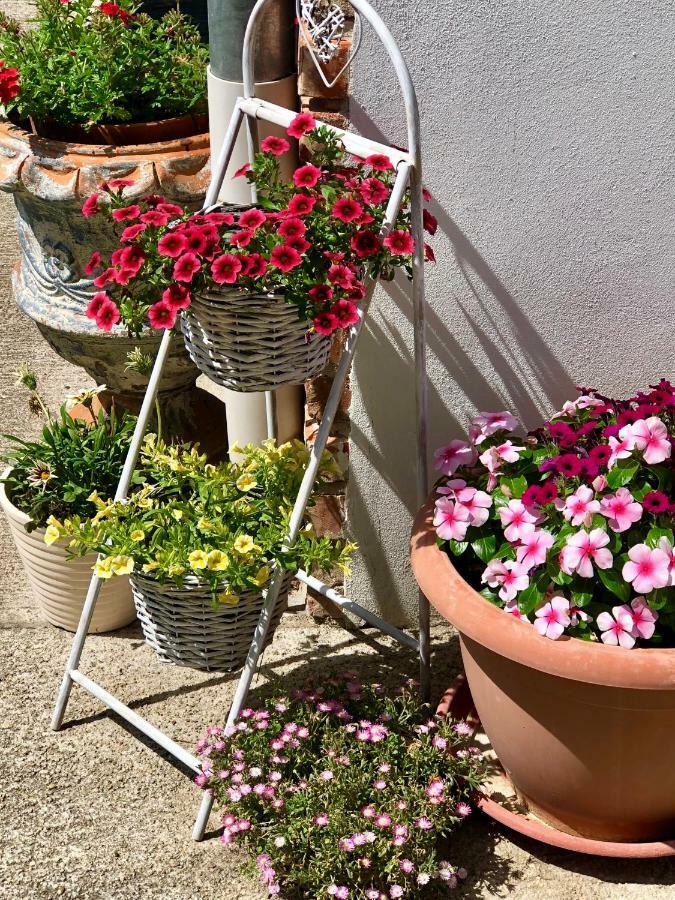Janicsar Garden Apartman Eger Eksteriør bilde