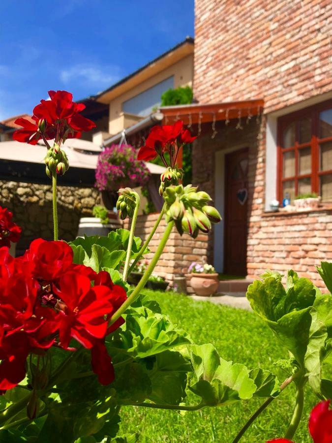Janicsar Garden Apartman Eger Eksteriør bilde