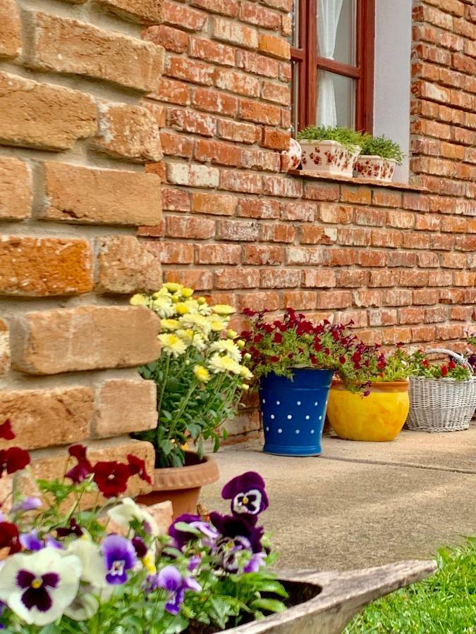 Janicsar Garden Apartman Eger Eksteriør bilde